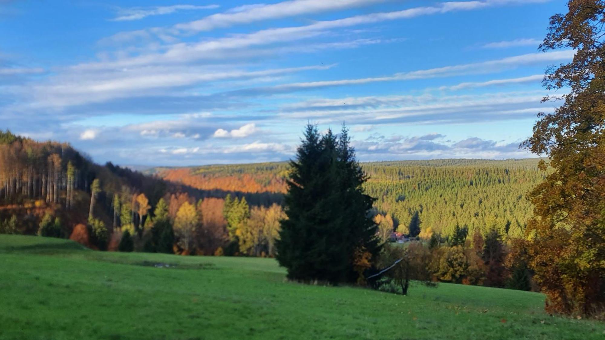Chata Zieleniecka Duszniki Zdrój Exteriér fotografie