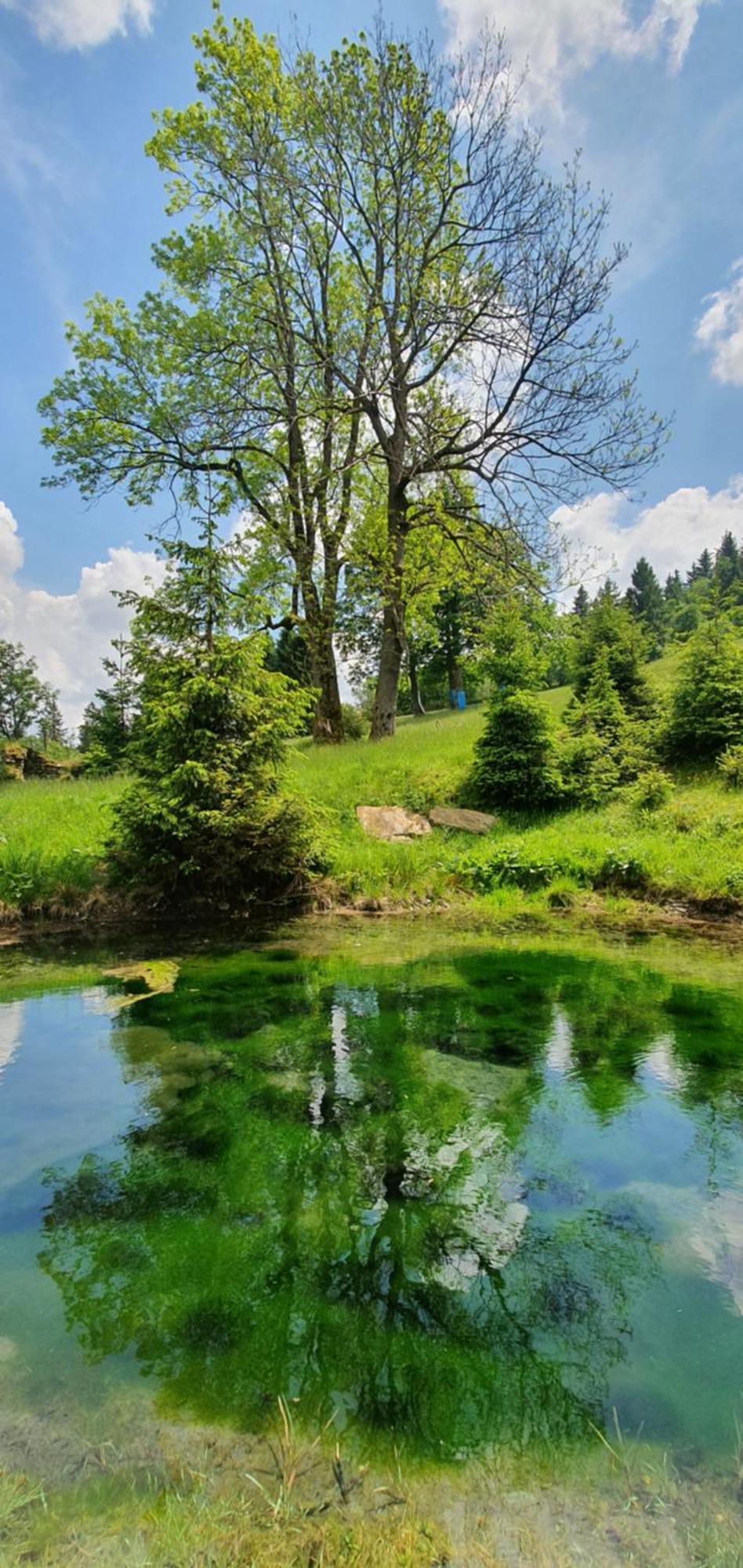 Chata Zieleniecka Duszniki Zdrój Exteriér fotografie
