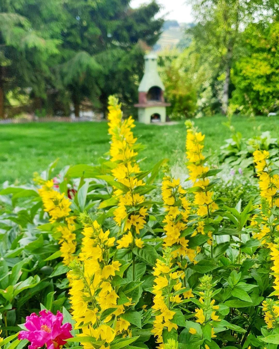 Chata Zieleniecka Duszniki Zdrój Exteriér fotografie